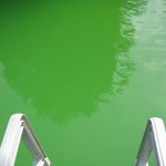 Groen zwembadwater