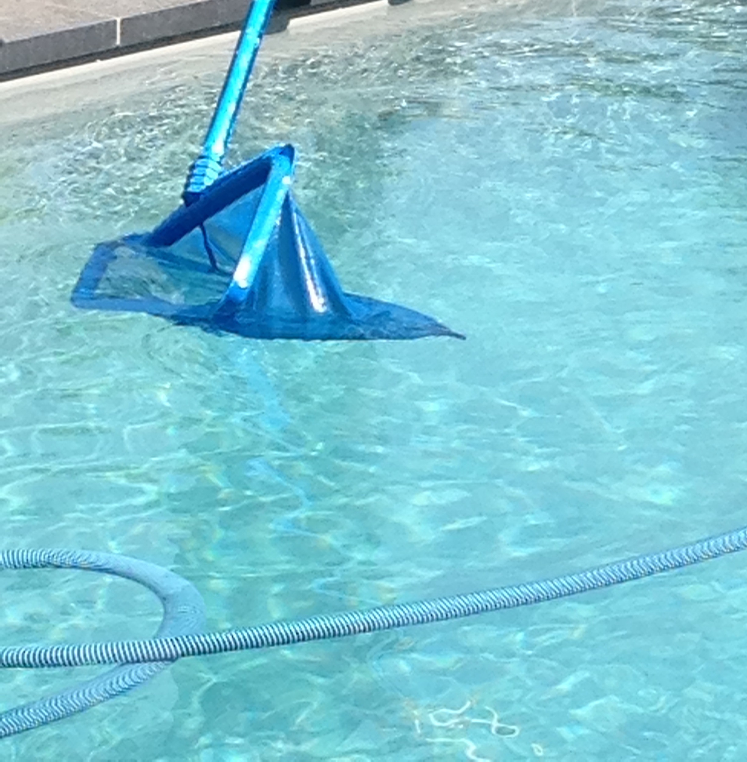 Remise en service de la piscine – Nager dans une eau limpide
